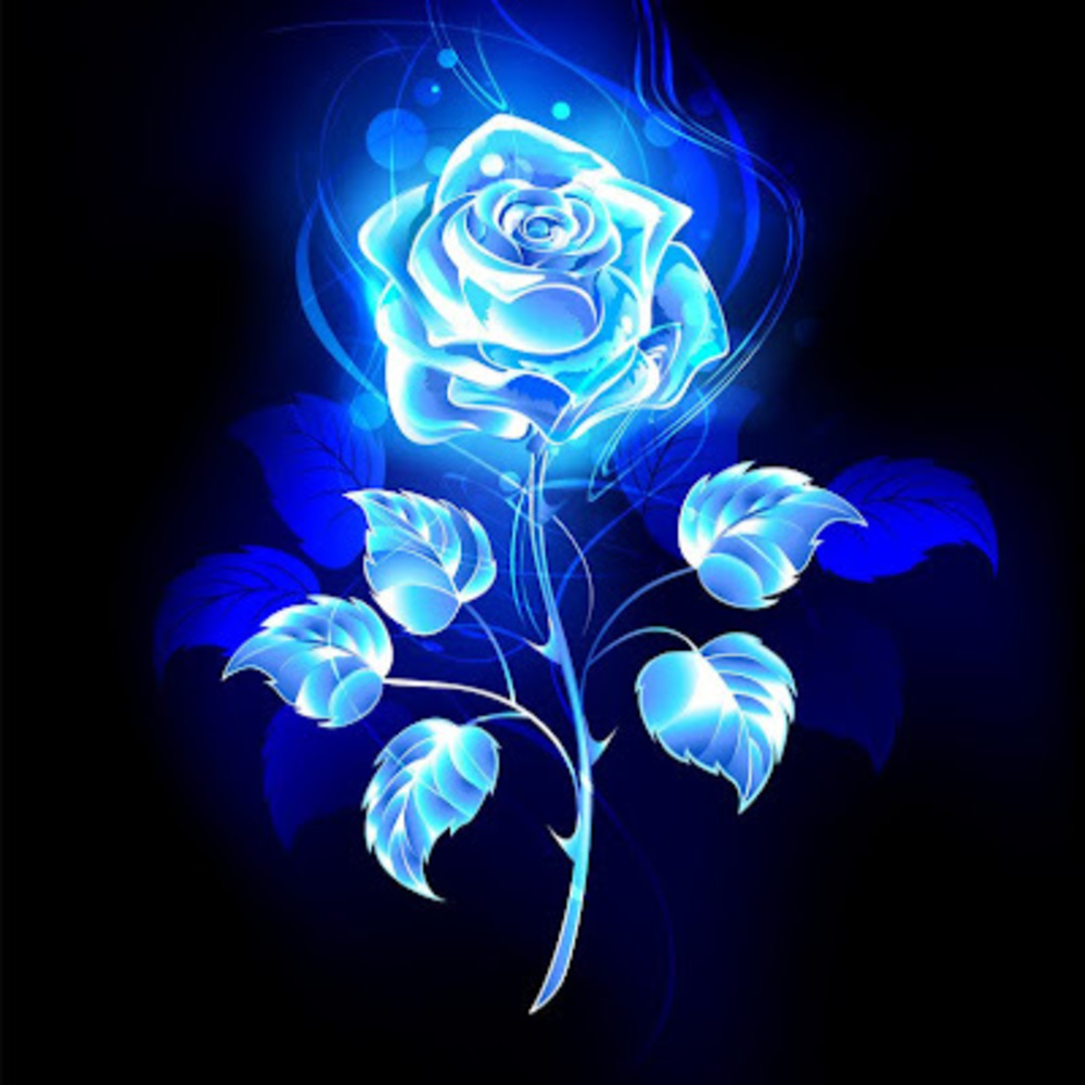 Meet your Posher, Chloe